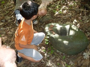 VLUU L100, M100 / Samsung L100, M100